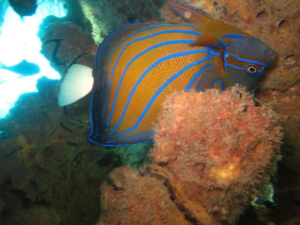 Ombak Dive Resort Pulau Perhentian Kecil Exteriér fotografie